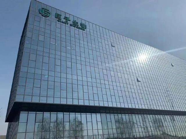 塞尔达影片主演公布引争议！用户失望错失心中最佳人选
